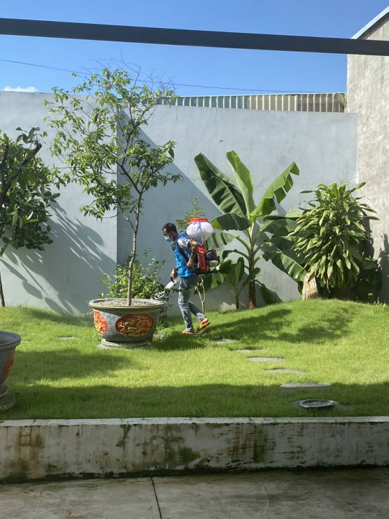 Phun khử khuẩn sân vườn