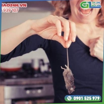 18 mẹo đuổi chuột ra khỏi nhà cực hay 18 mẹo đuổi chuột ra khỏi nhà cực hay