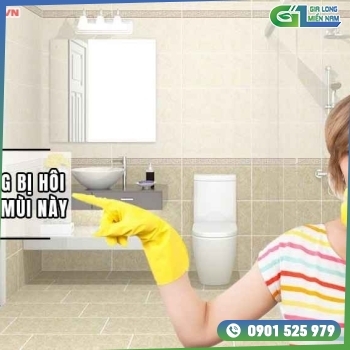 Cách khử mùi hôi nhà vệ sinh hiệu quả Cách khử mùi hôi nhà vệ sinh hiệu quả