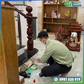 Dịch Vụ Diệt Mối Tận Gốc Bình Dương | Giá Cực Thấp