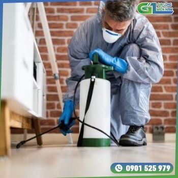 Dịch Vụ Diệt Mối Quận 4 | Tận tâm chuyên nghiệp Dịch Vụ Diệt Mối Quận 4 | Tận tâm chuyên nghiệp
