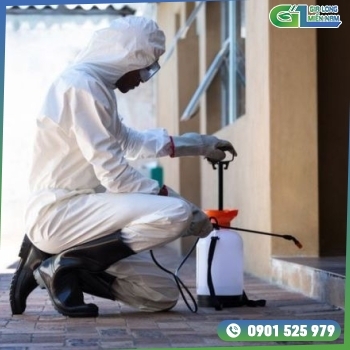 Dịch vụ diệt mối chuyên nghiệp Quận 9 giá rẻ Dịch vụ diệt mối chuyên nghiệp Quận 9 giá rẻ