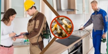 Dịch Vụ Diệt Mối Tại Quận Tân Phú | Chất lượng an toàn Dịch Vụ Diệt Mối Tại Quận Tân Phú | Chất lượng an toàn