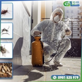 Dịch Vụ Diệt Mối Tại Phú Nhuận | Hiệu quả toàn diện