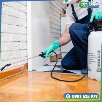 Dịch Vụ Diệt Mối Tận Gốc | Giá Cực Rẻ | Bảo Hành Cực Lâu