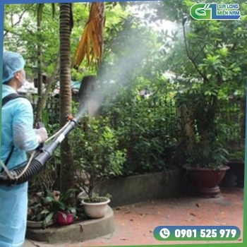 Dịch vụ phun thuốc muỗi tại nhà ở Long An