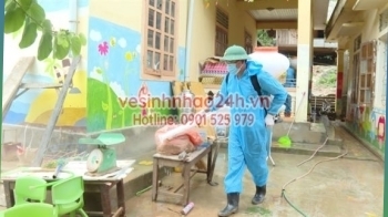 Dịch vụ phun thuốc muỗi Quận 2