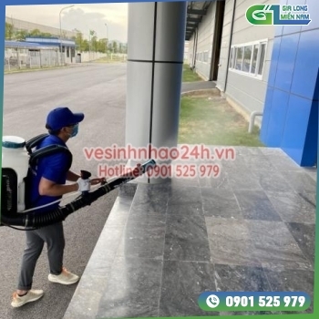 Dịch vụ phun thuốc muỗi Quận 3