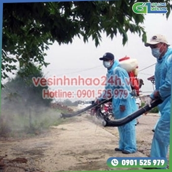 Dịch vụ phun thuốc muỗi Quận 5