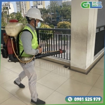 Dịch vụ phun thuốc muỗi Quận 8