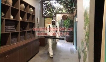 Dịch vụ phun thuốc muỗi Quận Gò Vấp