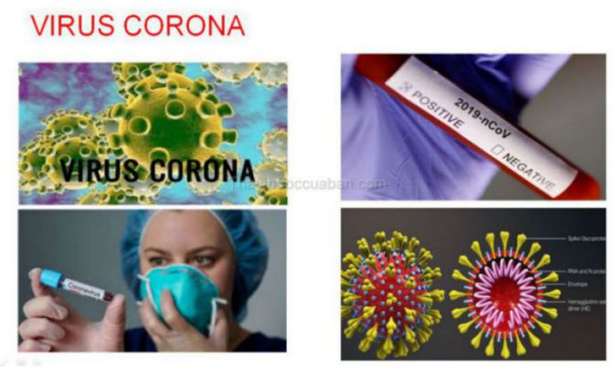 Vắc xin chống virus corona