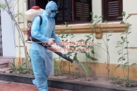 Dịch vụ phun thuốc muỗi Quận Phú Nhuận